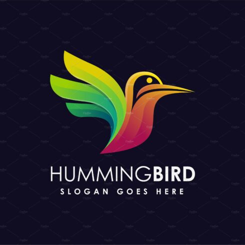 Modern colorful humming bird logo cover image.