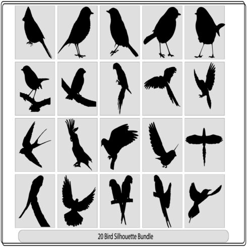 A Flock of Flying Birds Vector,Vector silhouette flying birds,Vector Collection of Bird Silhouettes cover image.