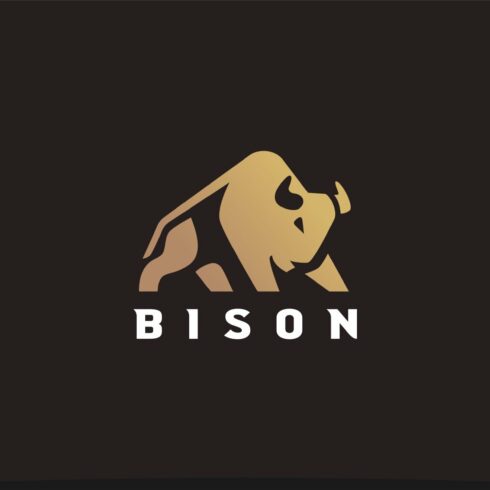 Bison Logo cover image.