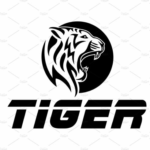 Black Tiger cover image.