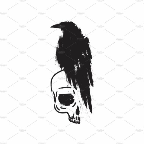 Black raven crow on skull. cover image.