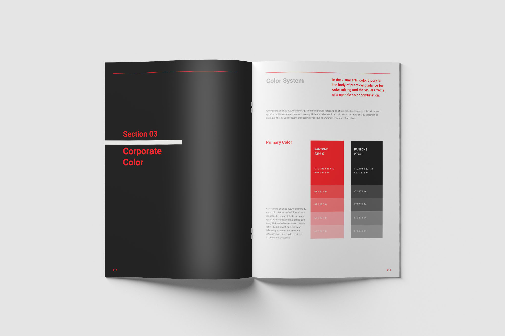 Black and red brochure on a white surface.