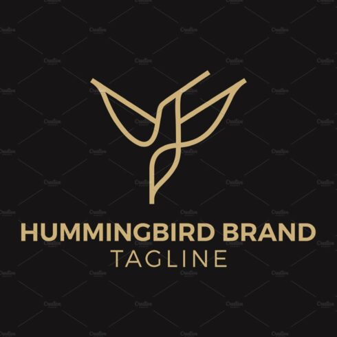 Hummingbird Logo Design cover image.