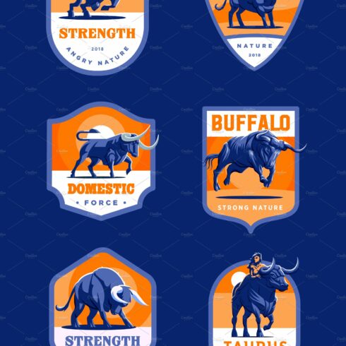Set of bulls and buffalo. cover image.