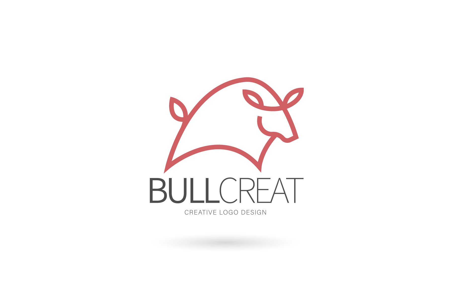 Bull logo cover image.