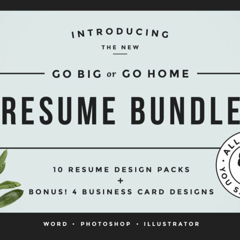 Go Big or Go Home! The Resume Bundle cover image.