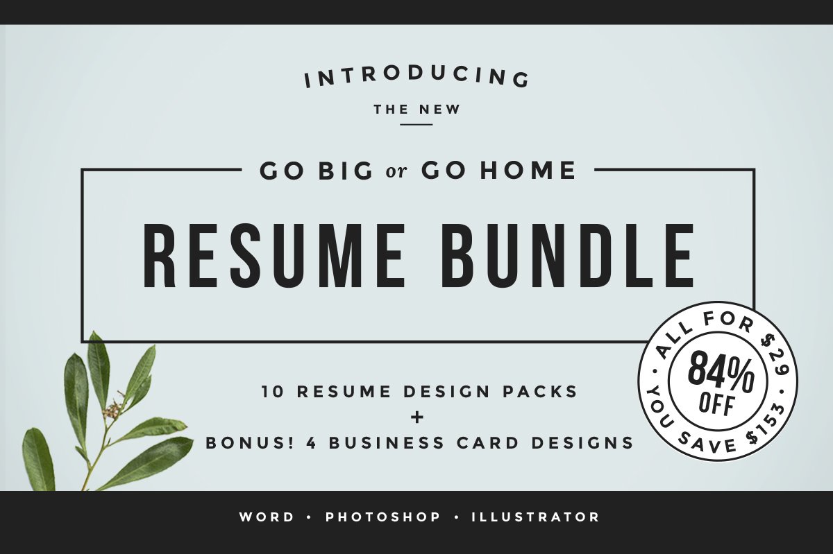 Go Big or Go Home! The Resume Bundle cover image.