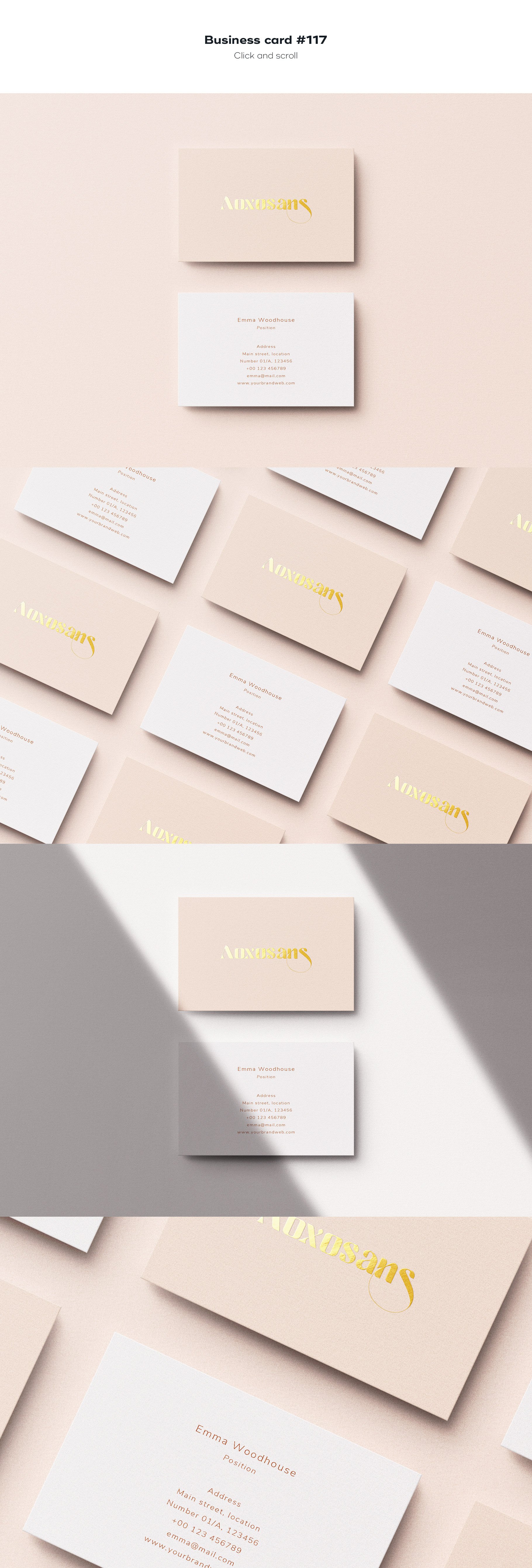 business card 117 843