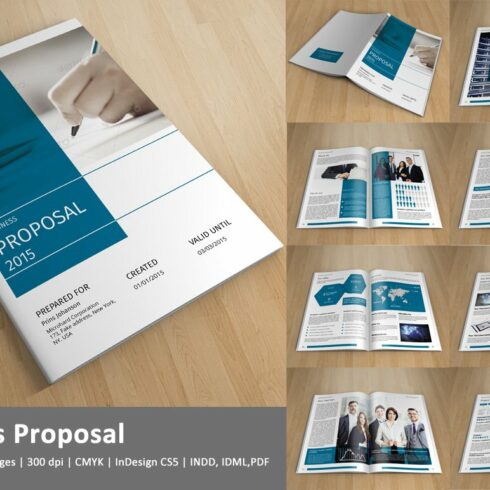 Business Proposal -V144 cover image.
