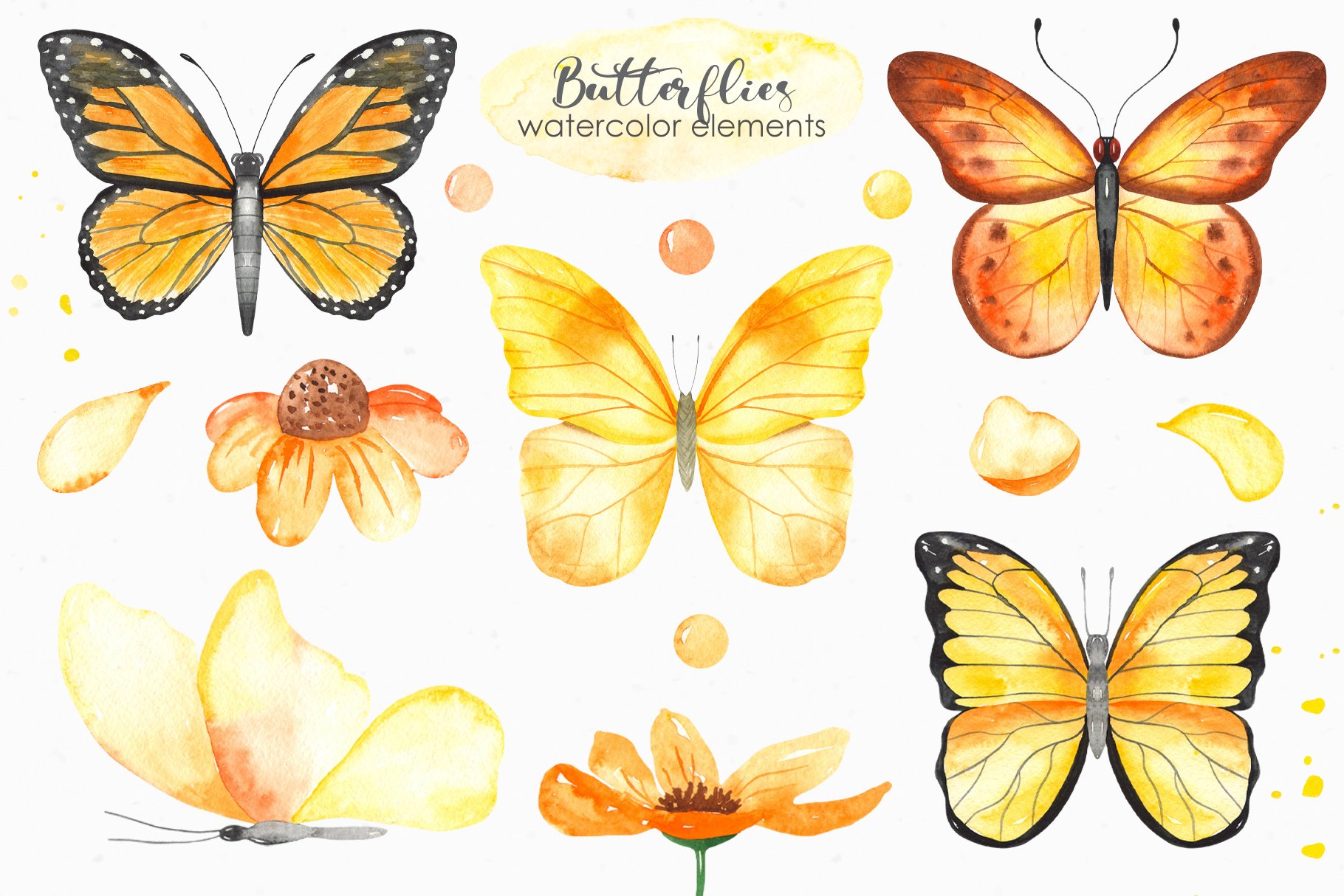 Butterflies Watercolor collection preview image.