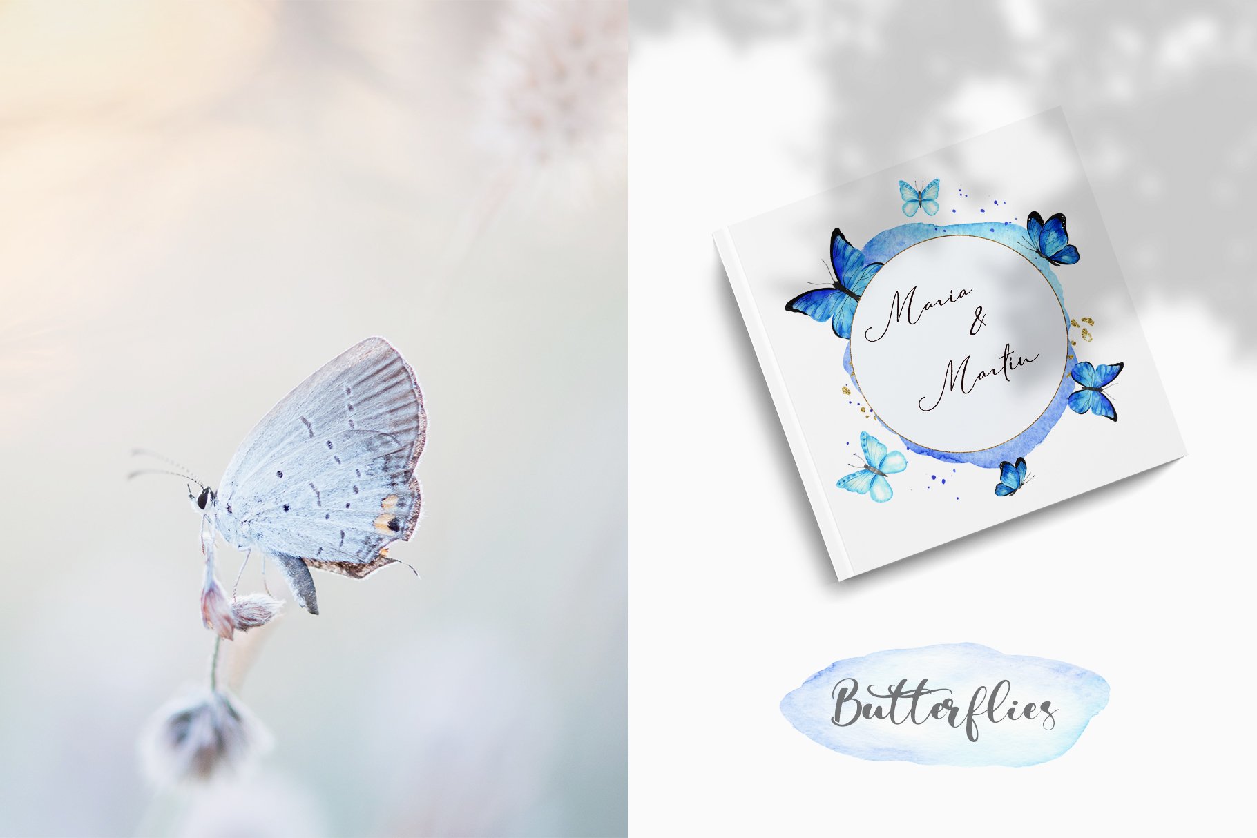 butterflies watercolor wreaths frames example 179