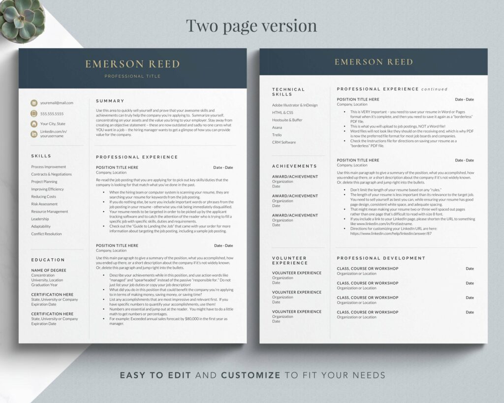 Modern Executive Resume Template – MasterBundles