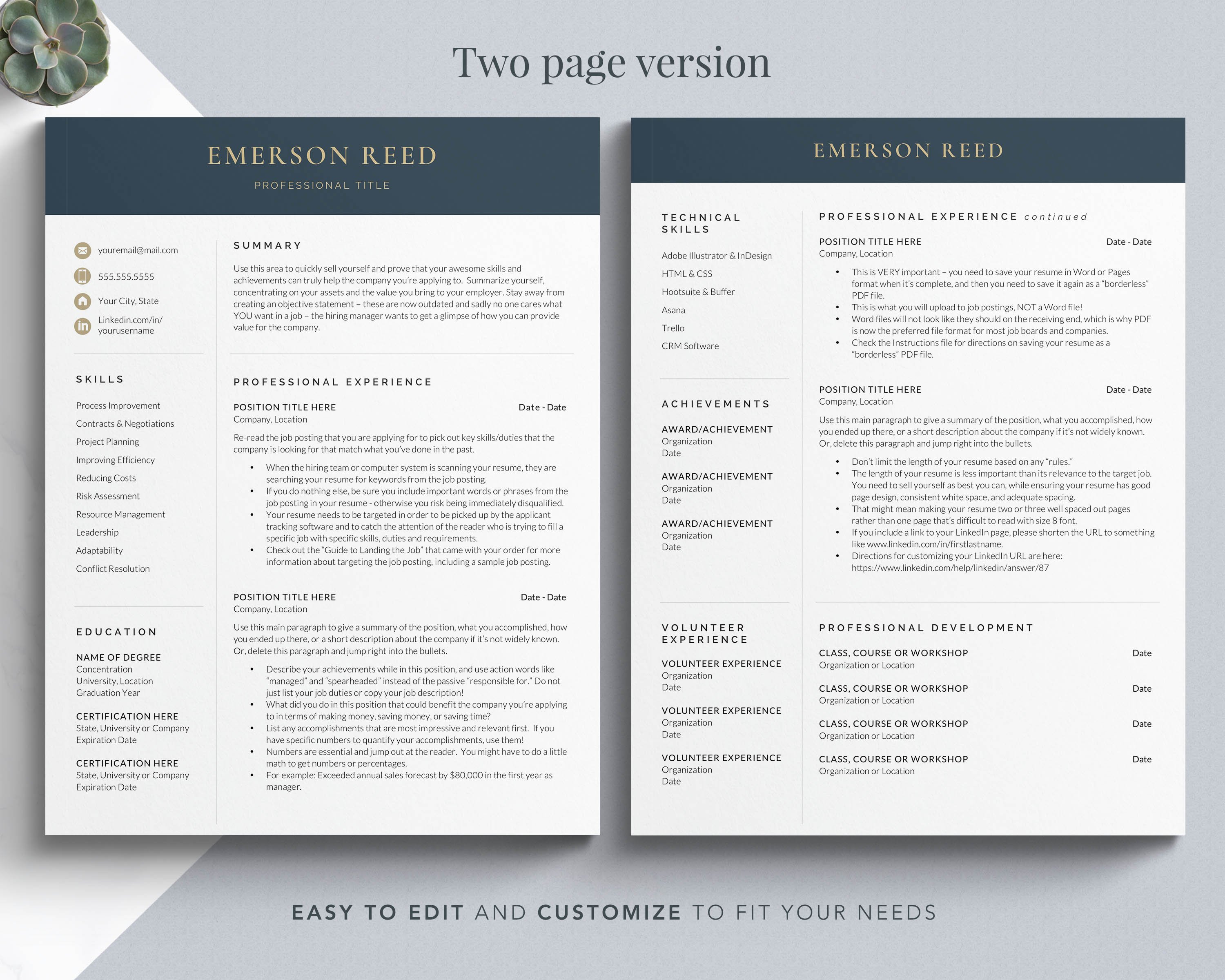 Modern Executive Resume Template preview image.
