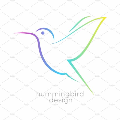 Hummingbird logo design. cover image.