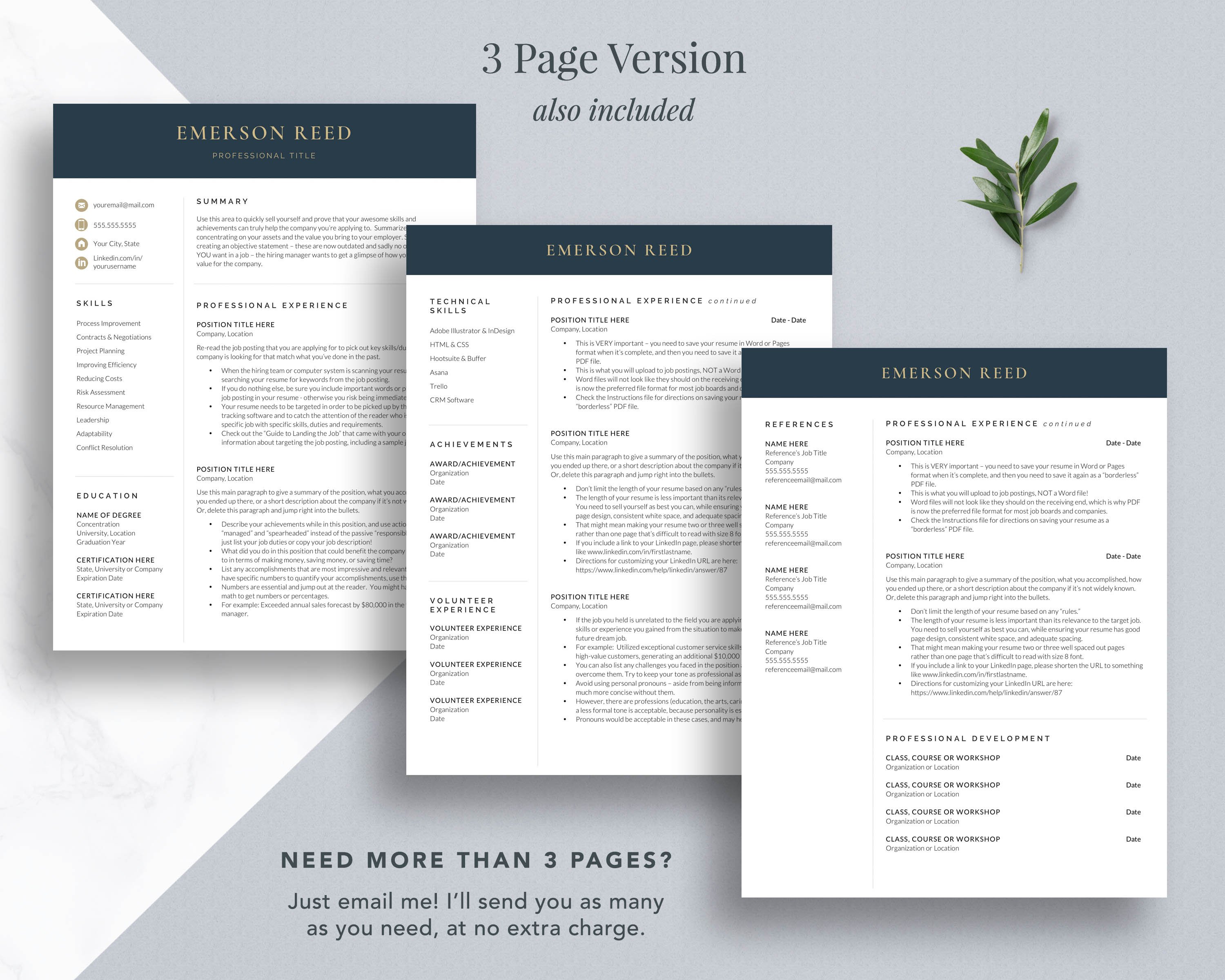 ceo resume template 2020 2021 130