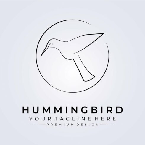 colibri bird, hummingbird line logo cover image.