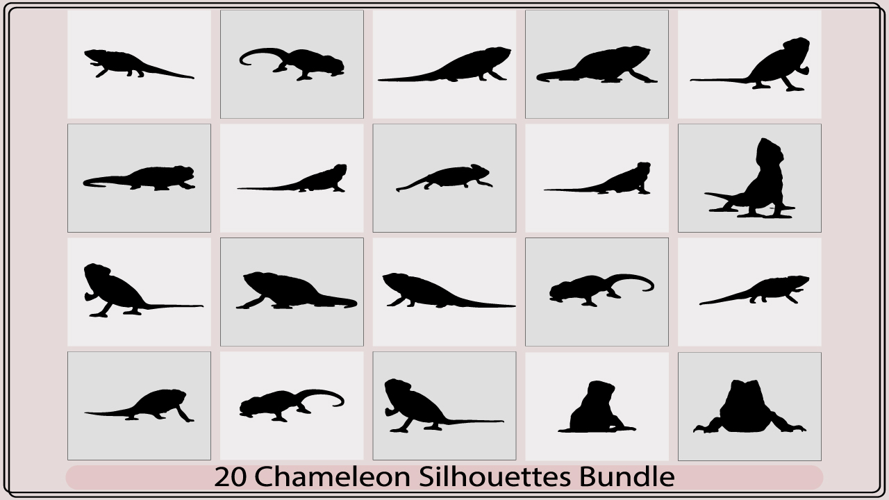 chameleonmb add media 331