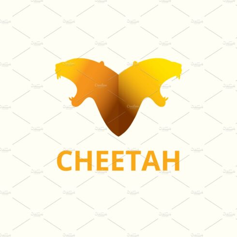 Cheetah Logo cover image.