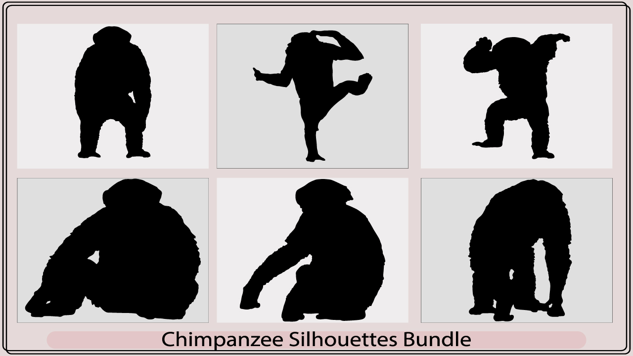 chimpanzeemb add media 547
