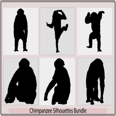 chimpanzee silhouettes,Chimpanzee icon silhouette,Chimpanzee monkey,Monkey silhouette cover image.