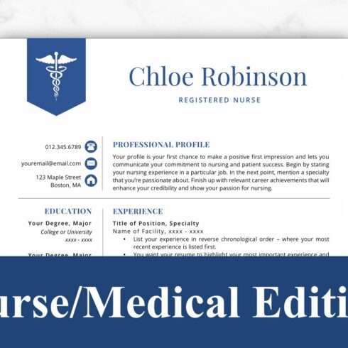 Nurse resume with a blue border.