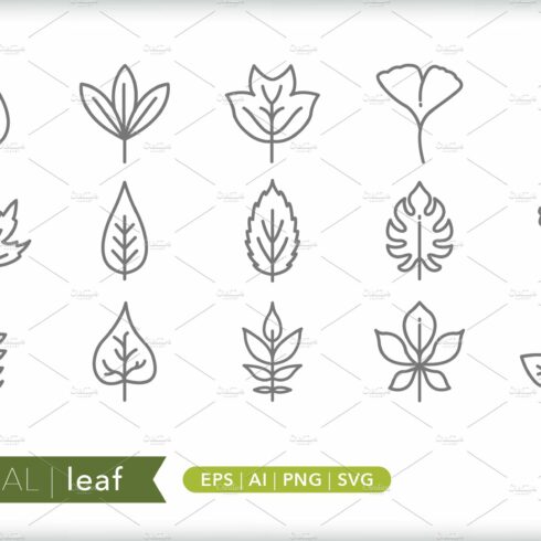 Minimal leaf icons cover image.