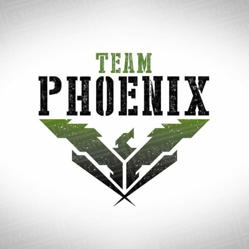 Phoenix Military Logo Template cover image.