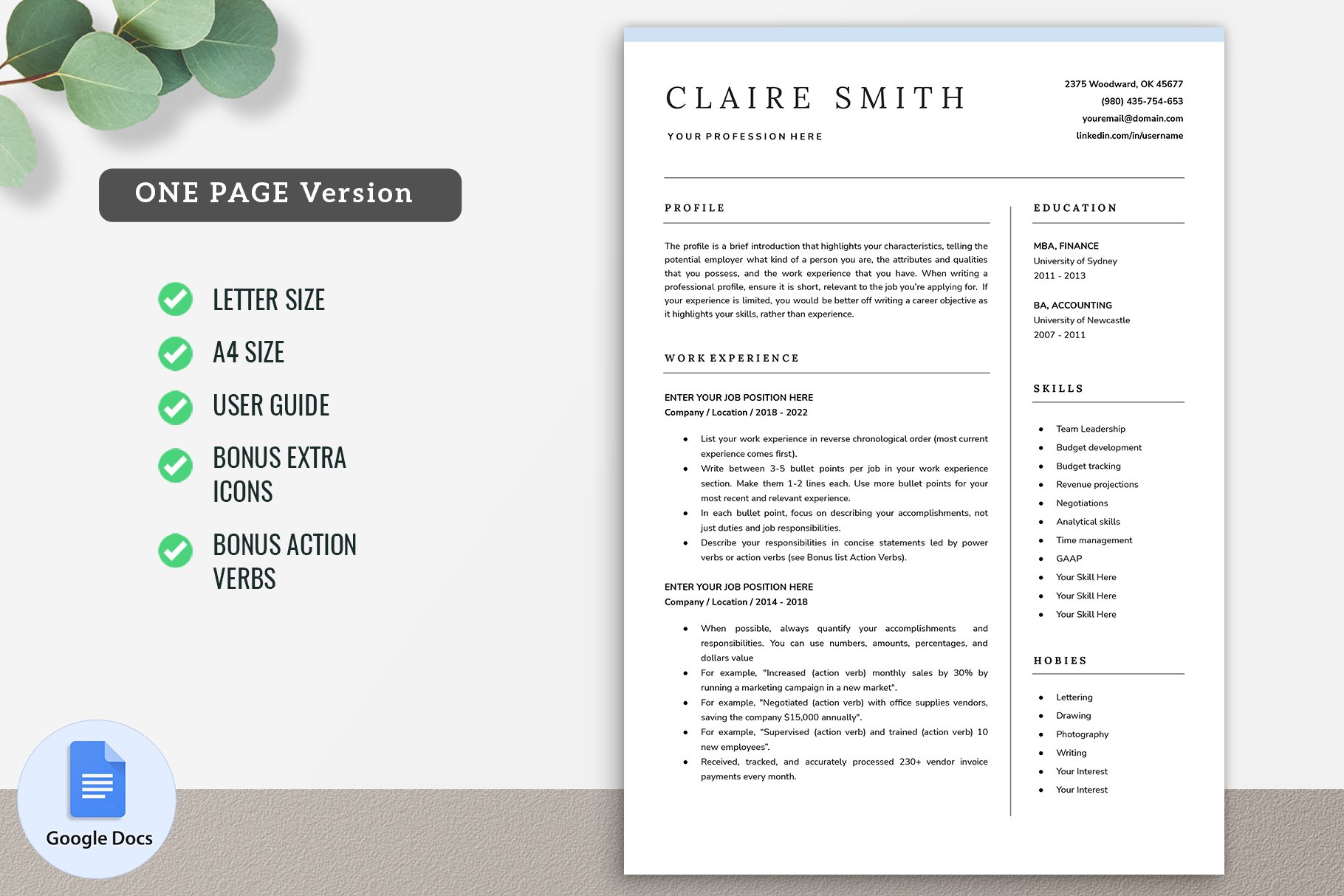 Google Docs Resume CV Template 04 preview image.