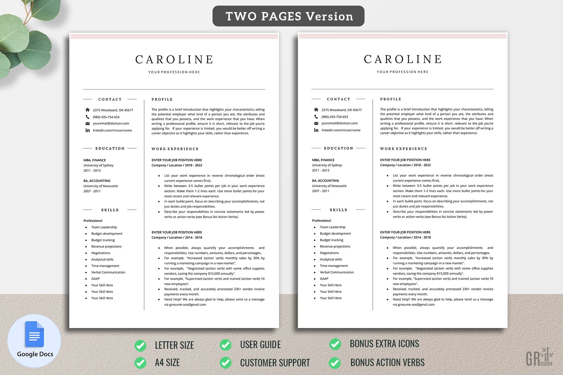 cm resume template 2 two pages 22