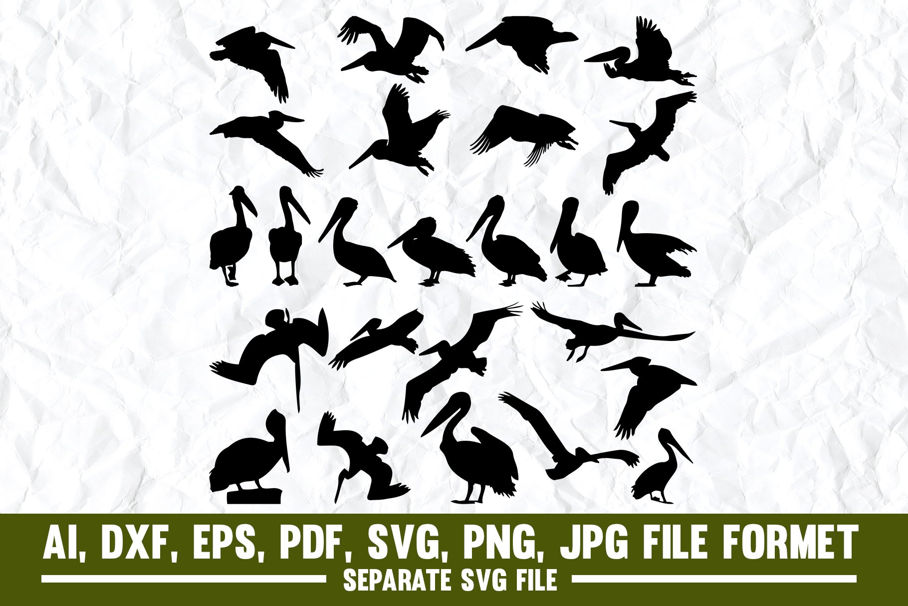 Pelican,Flying,Bird,Sea Bird,Animal cover image.