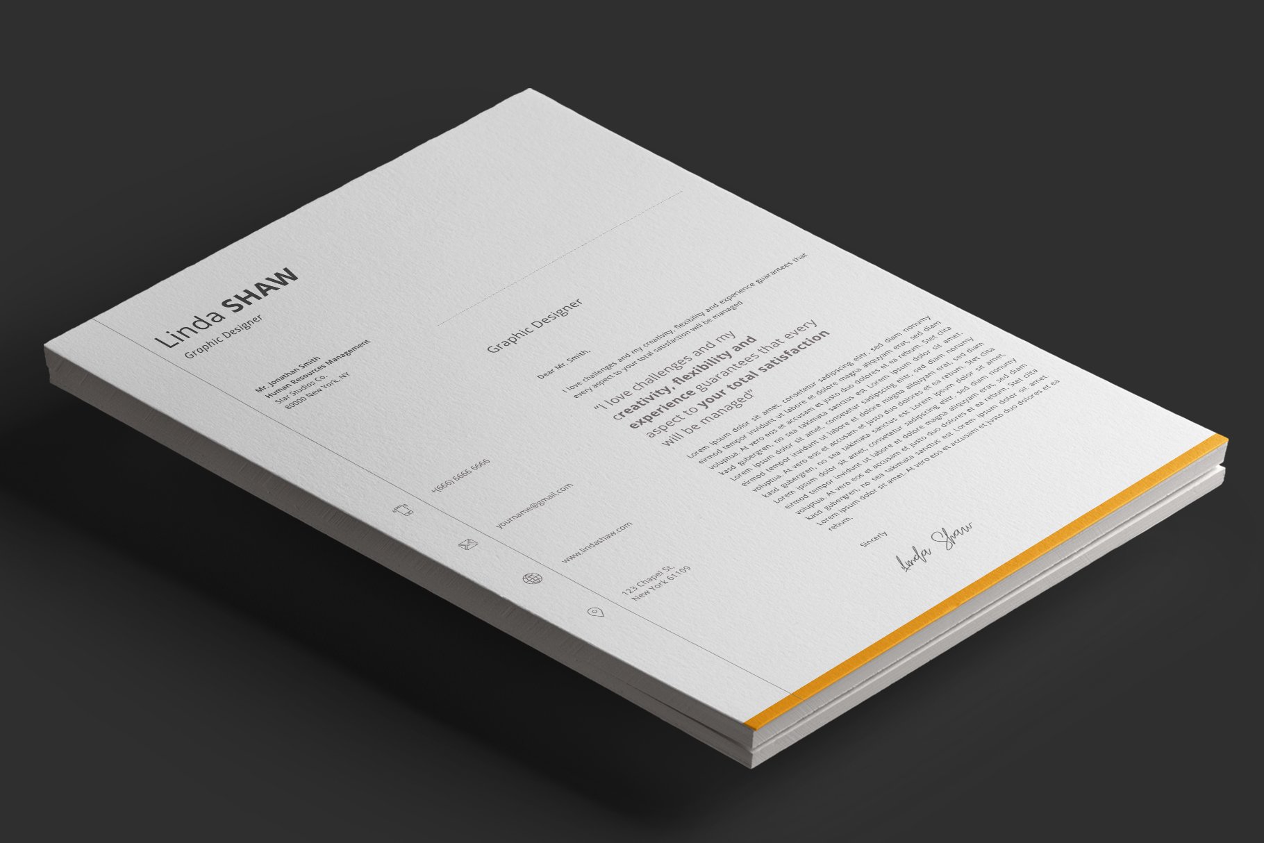 Vela Resume Template preview image.