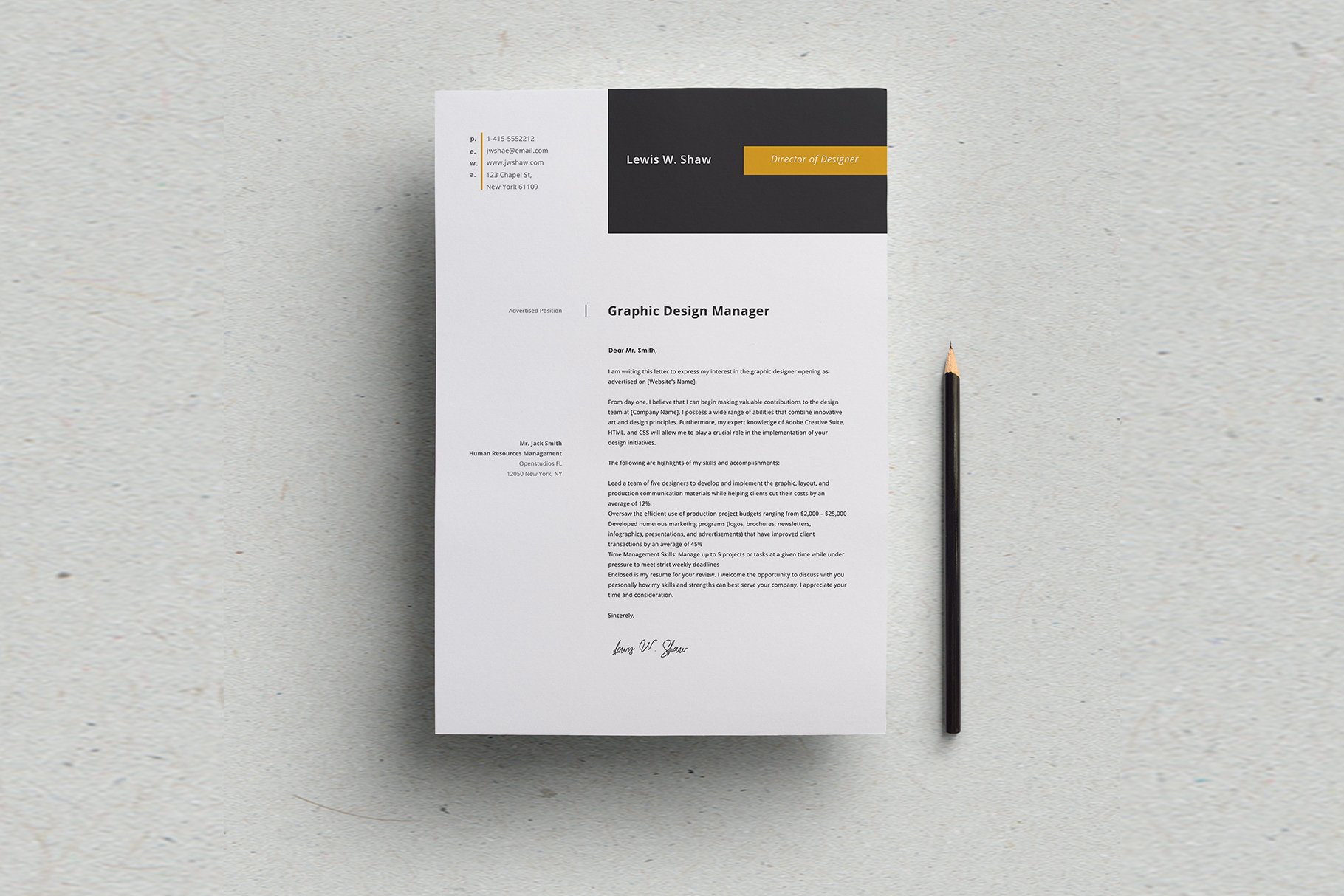 Delta Resume Template preview image.