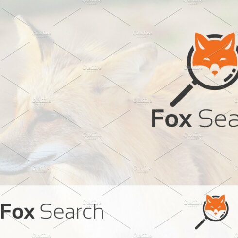 Smart Fox Search Detective Logo cover image.