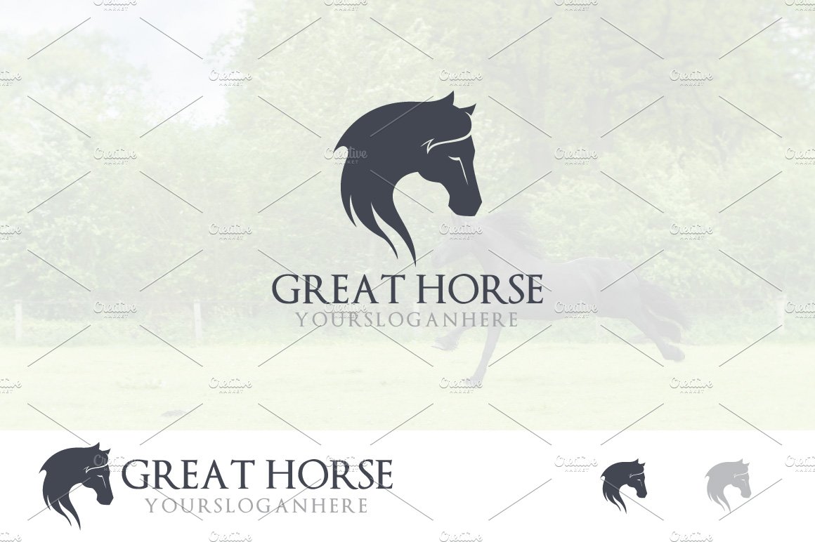 Elegant Horse Head Long Hair Logo cover image.