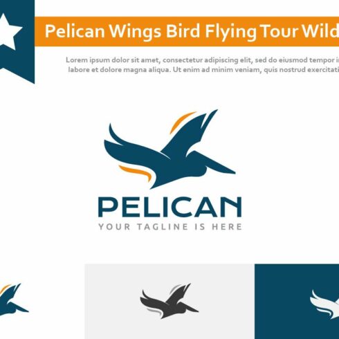 Pelican Wings Bird Flying Tour Logo cover image.