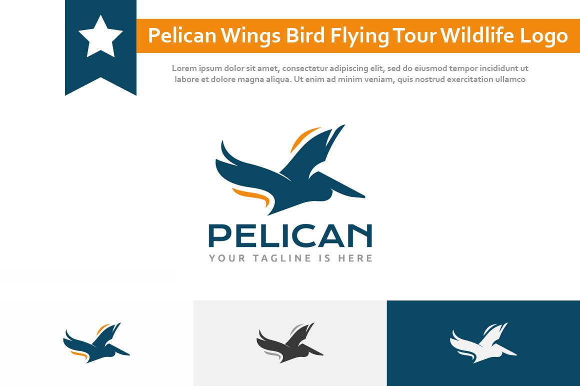 Pelican Wings Bird Flying Tour Logo cover image.