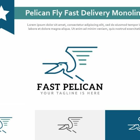 Pelican Fly Fast Delivery Logo cover image.