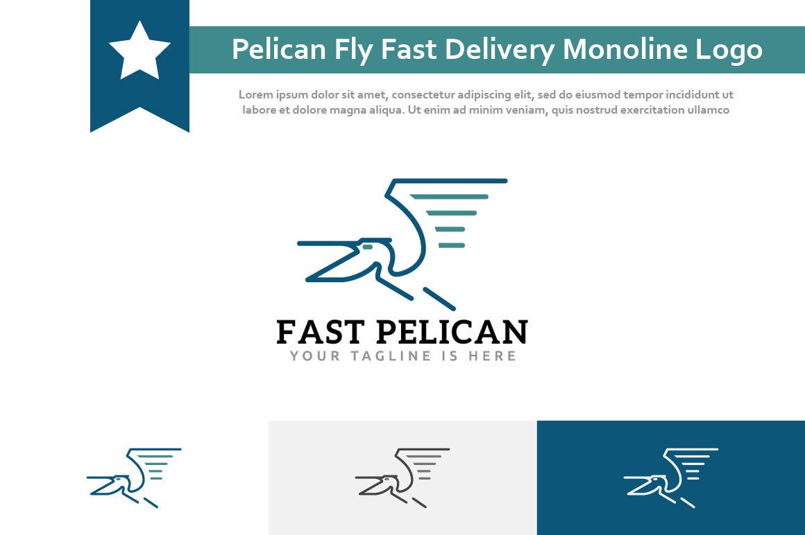 Pelican Fly Fast Delivery Logo cover image.