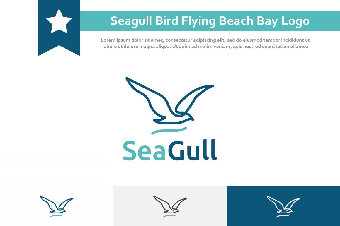 Seagull Bird Flying Sea Beach Logo cover image.