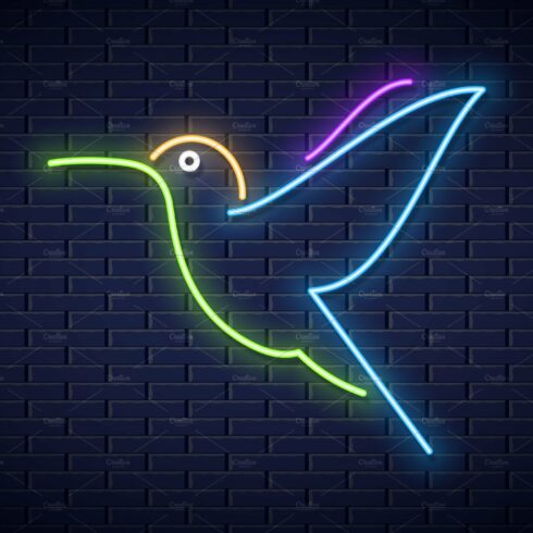 Hummingbird neon logo design. cover image.