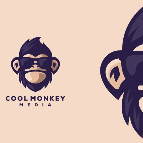 Cool Monkey Logo cover image.