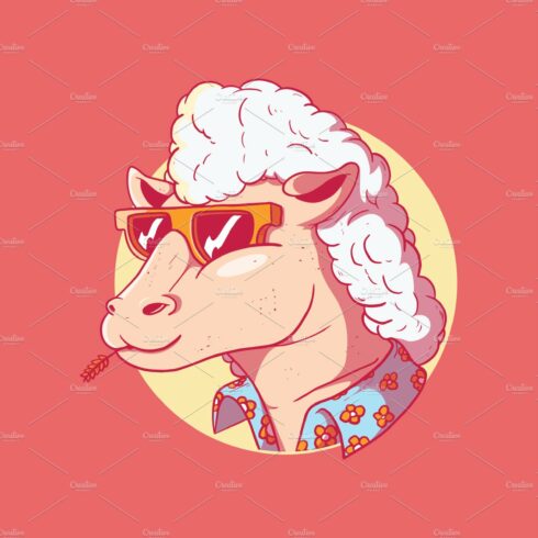 Cool Sheep! cover image.