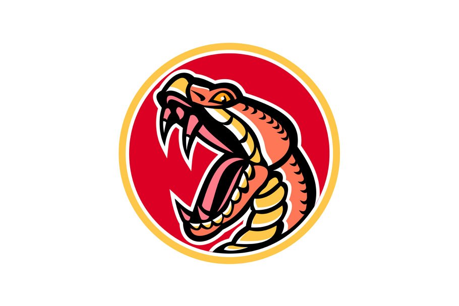 Copperhead Snake Mascot cover image.