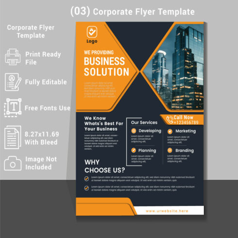 3 Corporate Flyer Template for your Business Corporate Flyer Design Template stock illustration cover image.