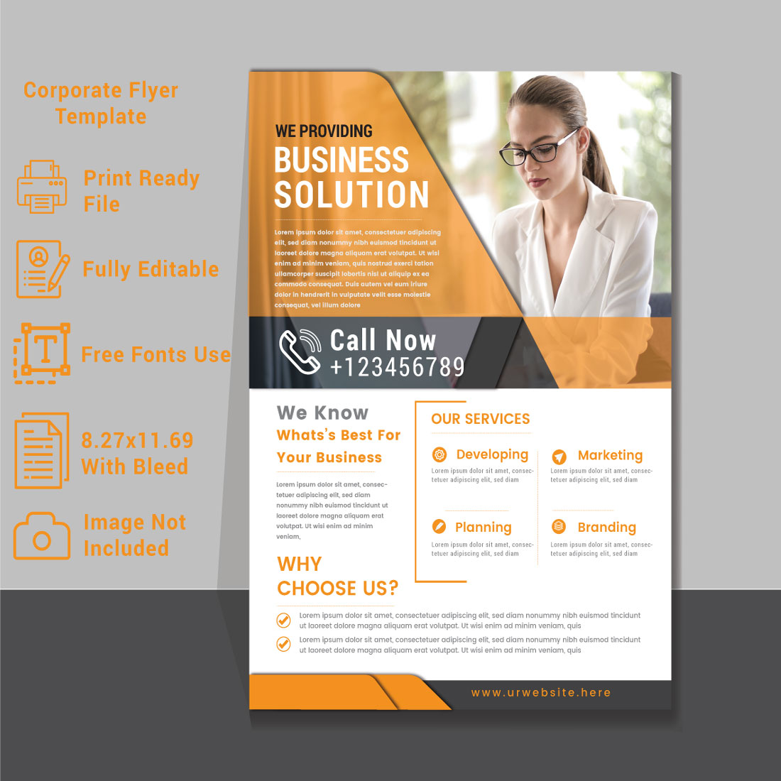 3 Corporate Flyer Template for your Business Corporate Flyer Design Template stock illustration preview image.