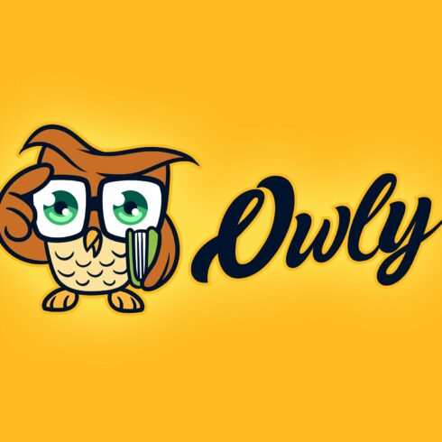 Nerd Owl Logo cover image.