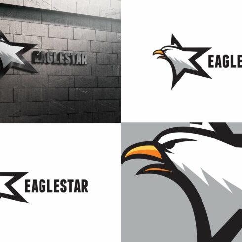 Eagel Star Logo cover image.