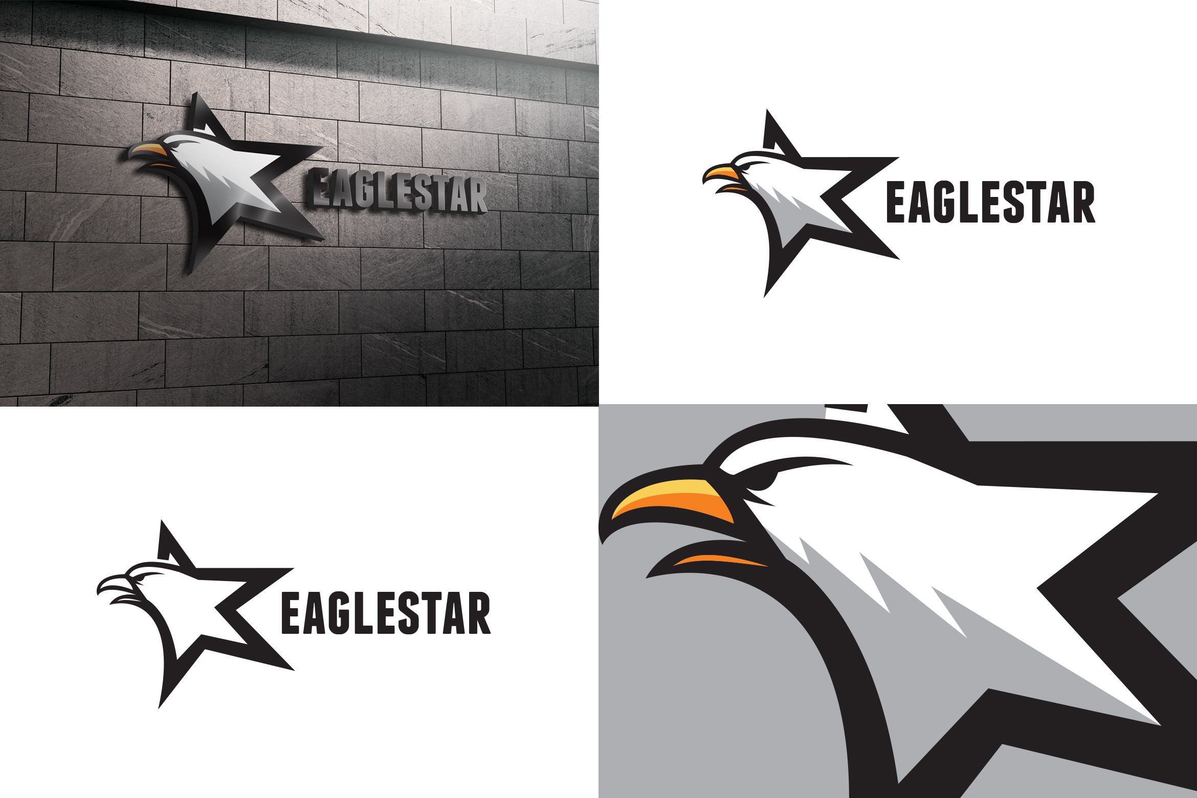 Eagel Star Logo cover image.