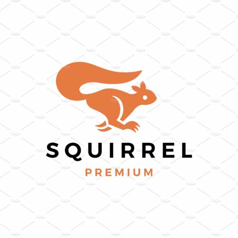 Running squirrel logo vector icon cover image.