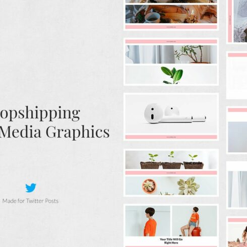 Dropshipping Twitter Posts cover image.